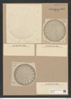 Arachnodiscus sp. (de-Toni-Nr.: Genus 204) Zeichnungen Sammlung Grunow Nr. 9003 (NHMW-BOT-W0378709)